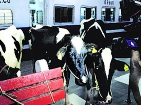 गौरक्षकों ने रेल रोक उतरवाई गाय, रेलवे के कर्मचारियों और लोगों को पीटा