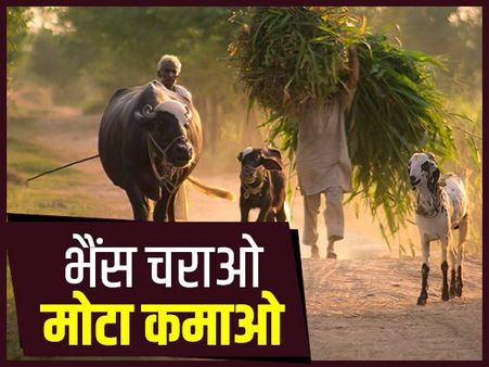 अनपढ़ होकर भी महीने में कमा रहे 25 हजार, जानिए कैसे?