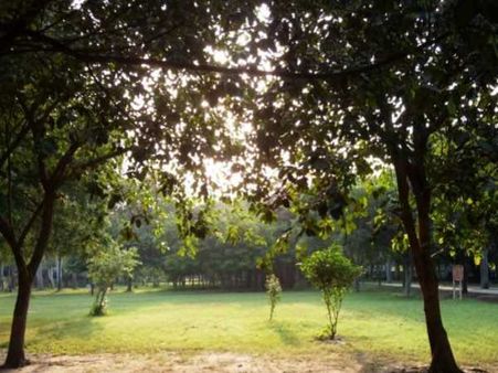 रामवृक्ष के जलाए जवाहर बाग को बनाया जाएगा 'डेट डेस्टिनेशन'