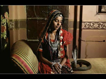 सांप की मोहब्बत में दीवानी हुई लड़की ने उसके साथ रचा ली शादी