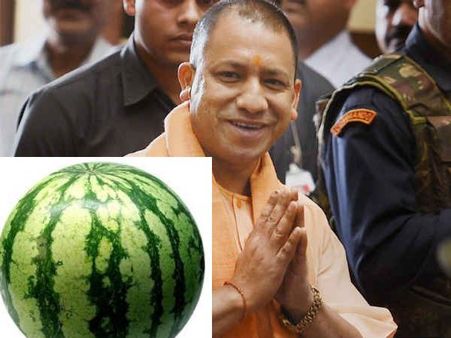 CM योगी का स्वागत करने के लिए तैयार है 'तरबूज'