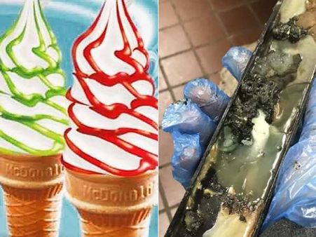 ये तस्वीरें देखकर McDonald's की icecream खाना भूल जाएंगे