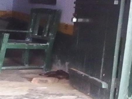 PICs: स्कूल का दरवाजा खुलते ही चौंक पड़े टीचर, जानिए क्या देखा ऐसा?