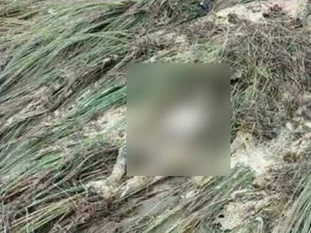 PICs: मुश्किलों में गुजर रही यहां जिंदगी...भूख से चीख रहे मासूम, नेश्नल हाई-वे बना श्मशान