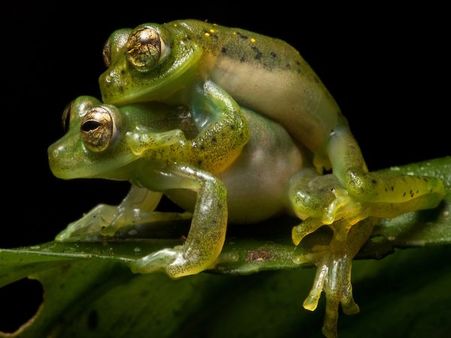 PICs: बायोलॉजी पढ़ाते-पढ़ाते लड़कियों के जिस्म पर अश्लील प्रैक्टिकल करने लगते थे मास्टर साहब...