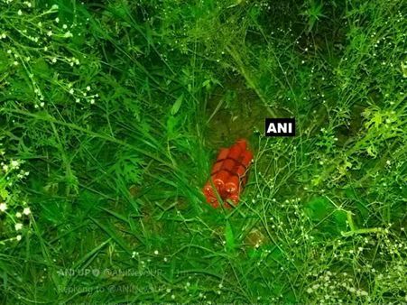 UP के बहराइच में मिले 6 जिंदा बम, पुलिस-SSB मौके पर पहुंची