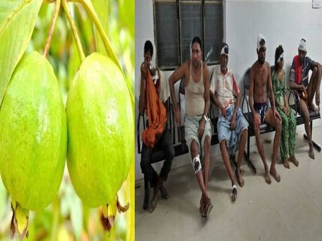 अमरूद तोड़ने पर दो समुदाय में चली गोली, नौ लोग घायल