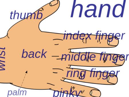 Palmistry: नकारात्मक प्रभाव दिखाता है हथेली पर बना द्वीप
