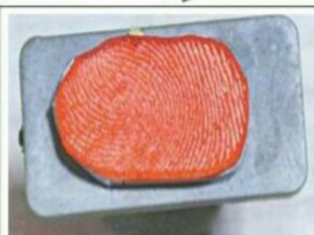 कामचोर कर्मचारियों ने निकाली बायोमेट्रिक एटेंडेंस की काट, ईजाद की बायोमेट्रिक मोहर