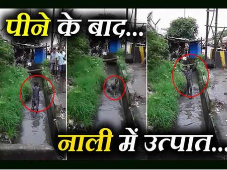 VIRAL VIDEO: हम तो पीते ही हैं नाले में गिरने के लिए...