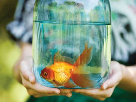 Feng Shui Tips: घर से नकारात्मक ऊर्जा दूर करती हैं क्रिस्टल की वस्तुएं