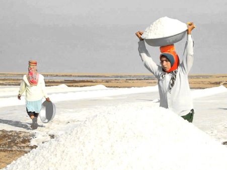 रेलवे ने गुजरात से आने वाली रैक्स घटाई, मंहगा हो सकता है नमक!