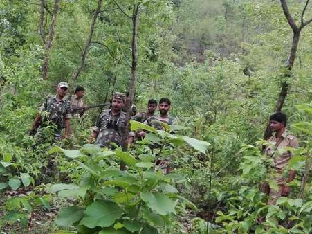 डकैतों ने दो टीचरों का किया अपहरण, मांगी 5-5 लाख की फिरौती, जंगल में सर्च अभियान जारी