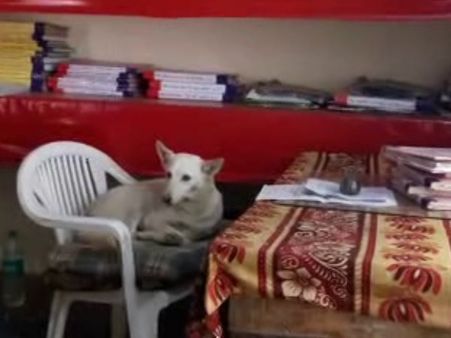 VIDEO: कुत्ता चला रहा है थाना! लापरवाह UP Police को आ रही है नींद