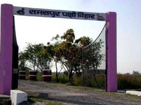 रायबरेली: कभी यहां आते थे साइबेरिया के 300 प्रजाति के पक्षी, अब इस हाल में है 'समसपुर पक्षी विहार', देखें VIDEO