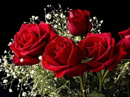 Happy Rose Day: गुलाब के रंगों में छिपी है गहरी बातें, जानें कौन सा रंग है किसके लिए