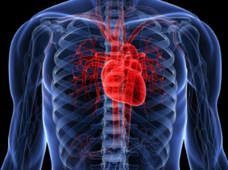 सुअर का दिल लगाने वाले व्यक्ति की मौत के रहस्य की खुली गुत्थी, ये थी वजह