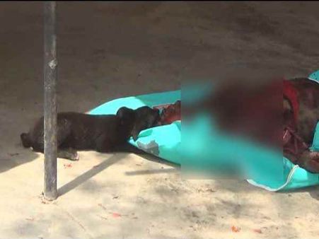 अलीगढ़: पोस्टमॉर्टम के लिए लाई गई लाश को खा रहे थे कुत्ते, वीडियो वायरल