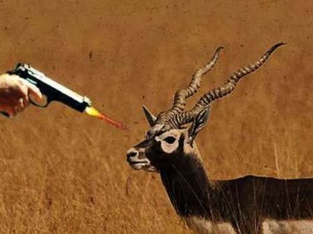 जीवों पर क्रूरता करने वाले सलमान की सजा से लें सबक: गुप्ता