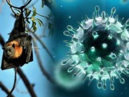 मौलवी का दावा- कुरान में है Nipah-Virus से बचने का उपाय, आयतें पढ़ने की दी सलाह