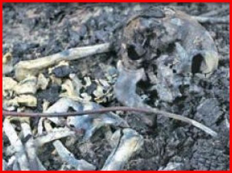 केदारनाथ आपदा के 5 साल: एक रास्ता जहां थे कंकाल ही कंकाल