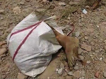 लखनऊ: घर में बनी पटाखा फैक्ट्री में विस्फोट, पति-पत्नी के चीथड़े 100 मीटर दूर गिरे