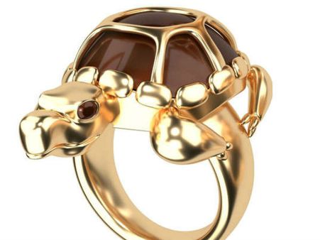 Feng Shui: दुर्भाग्य दूर भगाती है कछुए की अंगूठी