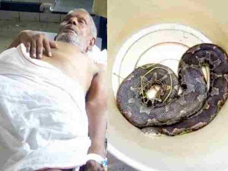 बुजुर्ग को सांप ने काटा, परिजन जिन्दा सांप को लेकर अस्पताल पहुंचे, मचा हड़कंप