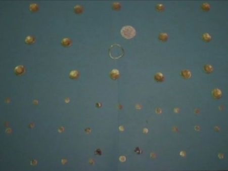 सड़क की खुदाई के दौरान मिले 12वीं सदी के सोने के सिक्के, मचा हड़कंप