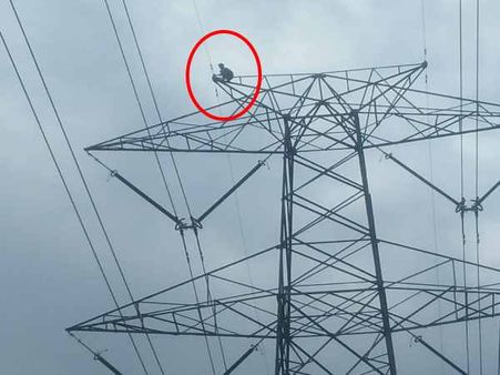 हरदोई: हाईटेंशन लाइन पर चढ़ा युवक, कड़ी मशक्कत के बाद उतारा गया नीचे