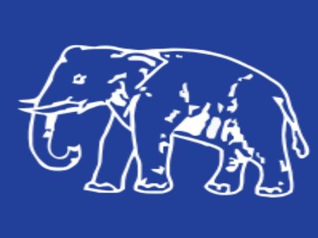 सरकार कार्यकर्ताओं की गिरफ्तारी कर देश में आतंक और डर फैला रही है: BSP