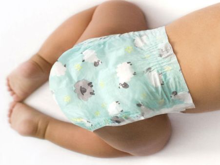 डेढ़ साल के बच्चे के डायपर में मिला भालू का पित्ताशय, हैरान रग गए अधिकारी