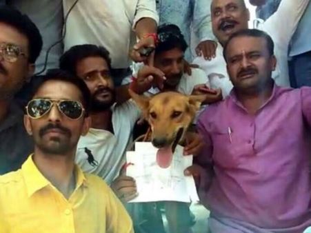 सर्वणों ने किया एससी-एसटी एक्ट के खिलाफ प्रदर्शन, कुत्ते के गले में डाली सांसद के नाम की तख्ती