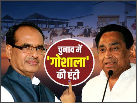 मध्यप्रदेश विधानसभा चुनाव 2018: कमलनाथ ने किया हर पंचायत में 'गोशाला' बनाने का वादा