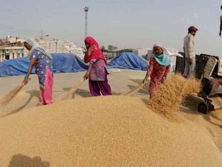 सरहदों का अड़ंगा: भारत की गेंहू की बोरी 4 हजार किमी का सफर तय कर 10 दिन में पहुंचती है काबुल