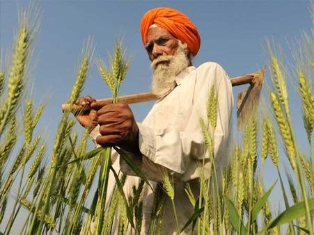 मोदी सरकार ने किसानों को दिया बड़ा तोहफा, गेहूं सहित 6 रबी फसलों का MSP बढ़ाया