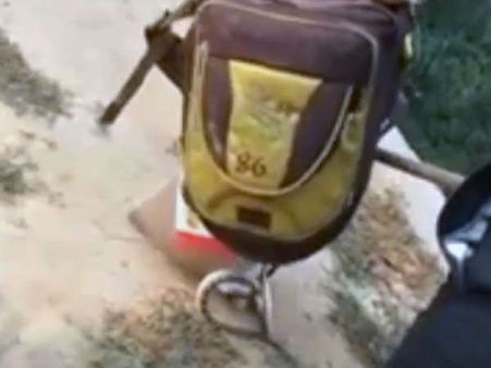 बच्ची के स्कूल बैग में छिपा बैठा था 5 फीट लंबा सांप, बैग खोलते ही मचा हड़कंप, Viral हुआ वीडियो