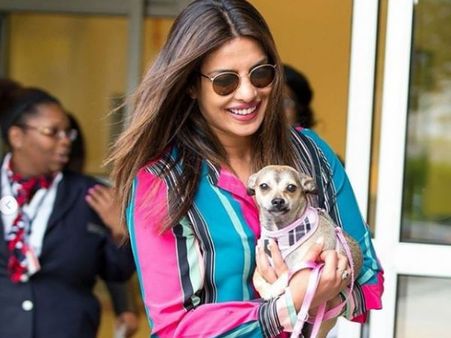 प्रियंका चोपड़ा ने बताया, ट्रोलर्स ने कुत्ते से की थी उनकी तुलना