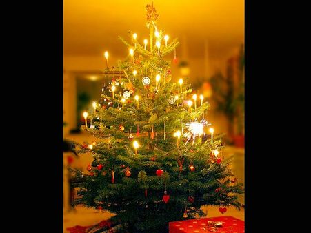Merry Christmas 2018: जानिए 'क्रिसमस ट्री' का इतिहास, पढ़ें कुछ रोचक बातें