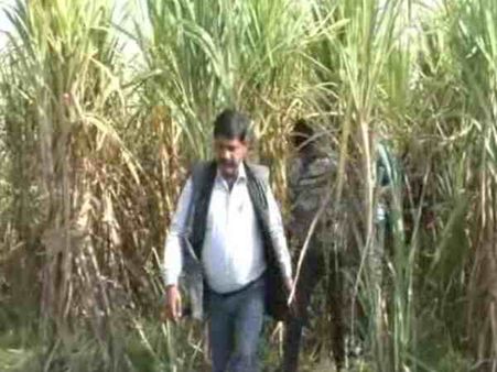 हापुड़ : गन्ने के खेत में पड़ा मिला युवक और युवती का शव, 1 दिसंबर से थे लापता