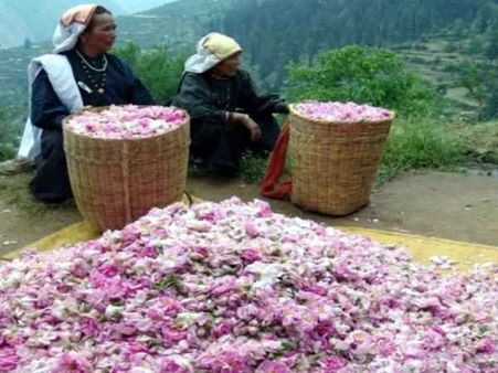 गुलाबों से महकी गरीब महिलाओं की जिंदगी, खड़ा किया लाखों का कारोबार