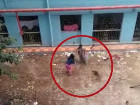 कोलकाता: दो नर्सों ने पीट-पीटकर मार डाले 16 मासूम पिल्ले, वजह जानकर रह जाएंगे दंग