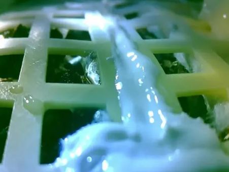 चांद पर जीवन खोजने को चीन ने लगाया पौधा, नहीं झेल पाया सर्द मौसम की मार और मर गया