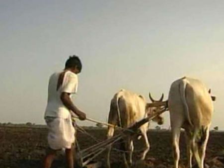 किसानों के लिए कितने काम की है पीएम किसान स्कीम के तहत मिलने वाली 6000 की राशि?