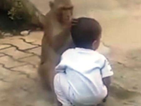 बंदर ने दो साल के मासूम को किया 'किडनैप' और बीच सड़क करने लगा मस्ती, देखिए वीडियो