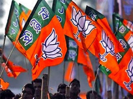 आइए जानते हैं लोकसभा चुनाव में भाजपा के सितारे क्या कहते हैं?