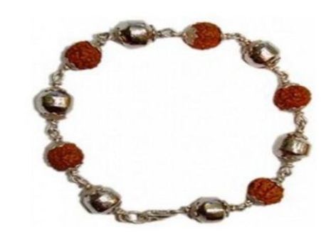 रूद्राक्ष और पारद का कॉम्बिनेशन जीवन में देता है ऊंचाइयां