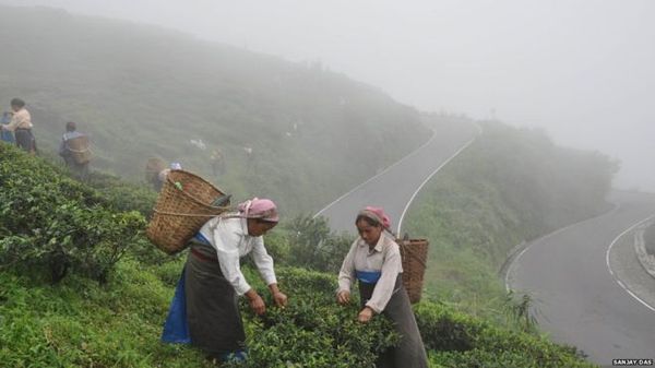 पहाड़ियों की रानी में गोरखालैंड पर भारी है विकास