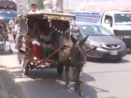 Video: पेट्रोल की बढ़ती कीमतों के बाद गधे की सवारी करने पर मजबूर पाकिस्‍तान की जनता 