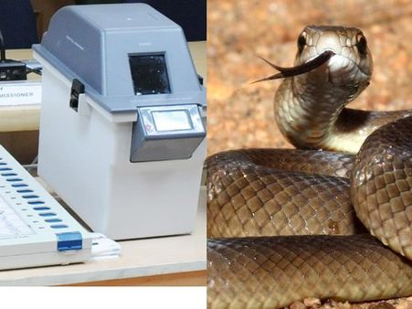 Lok Sabha Elections 2019: मतदान के दौरान जब अचानक VVPAT मशीन के अंदर से निकला सांप